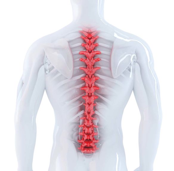 Spine Pain Anatomy - Oklahoma City - Orthobiogen